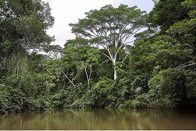 东方Project第18.5作 《恋弹者们的黑集市》上线Steam