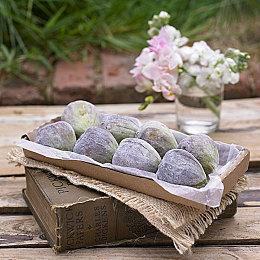 《木卫四协议》更多改进和修复即将到来 本周更新